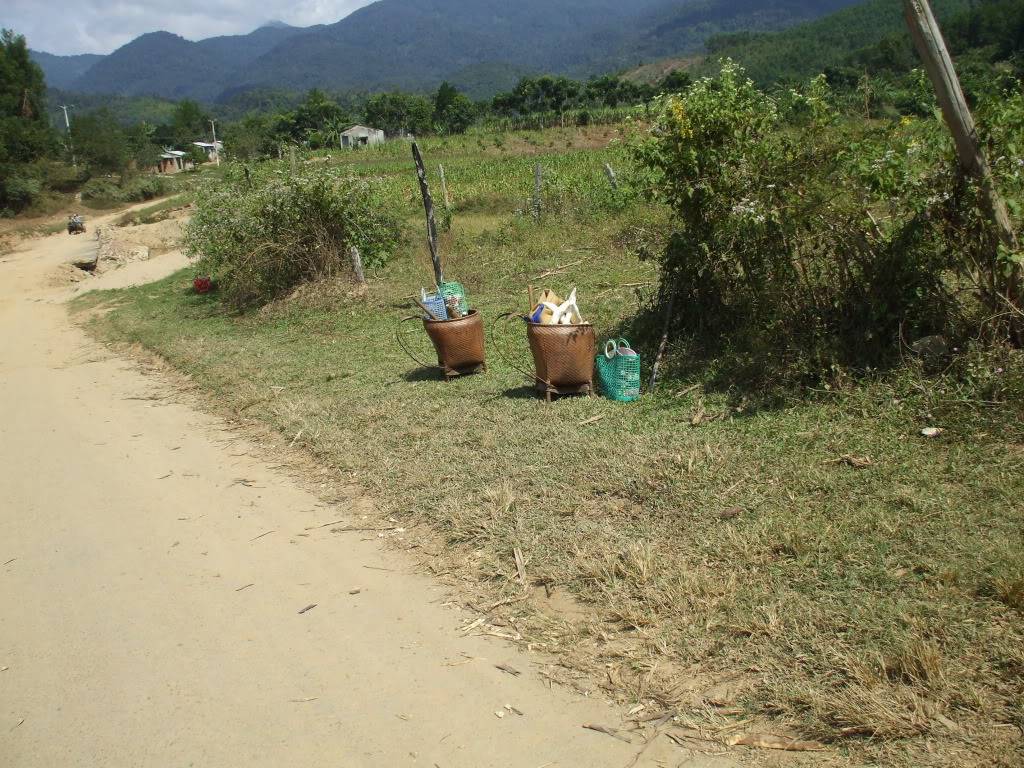 DSCF42831.jpg