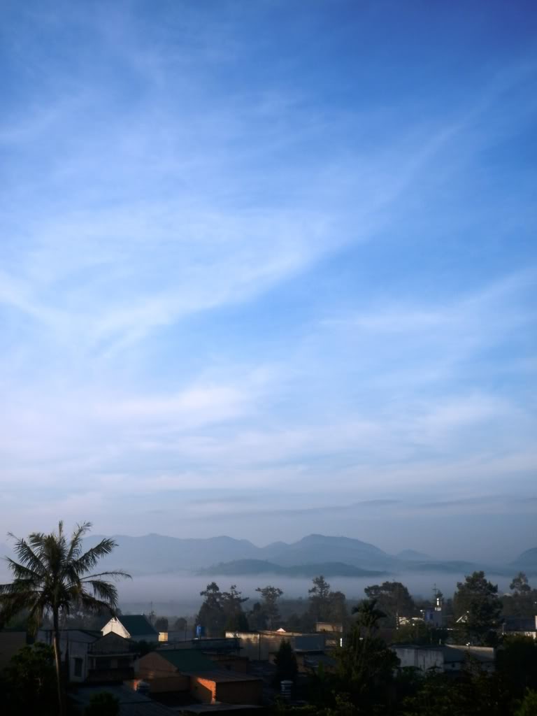 P1020153.jpg