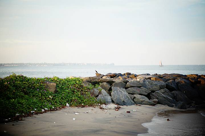 IMG_7358_zpsc7acd582.jpg