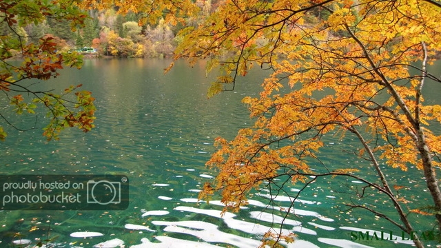 IMG_2691.jpg