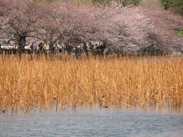 IMG_2529_resize.jpg