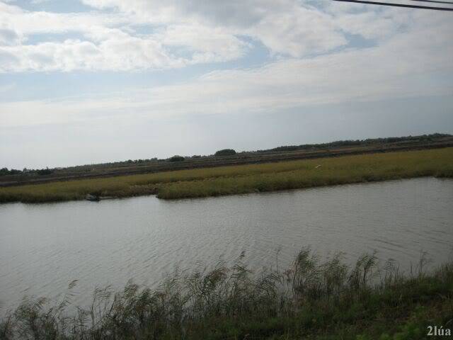 IMG_0890.jpg