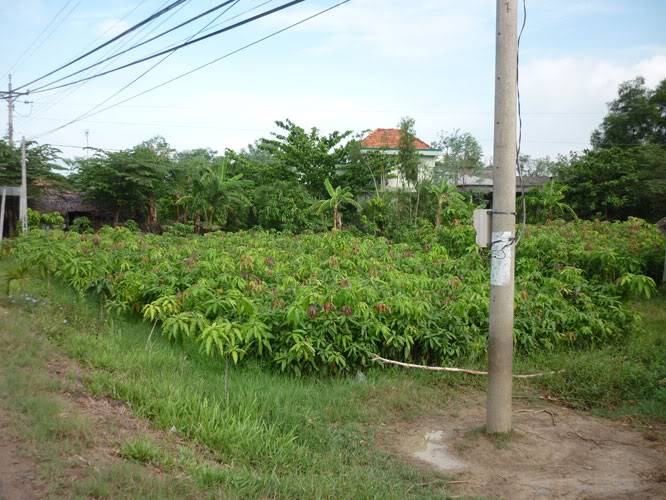 P1330930.jpg
