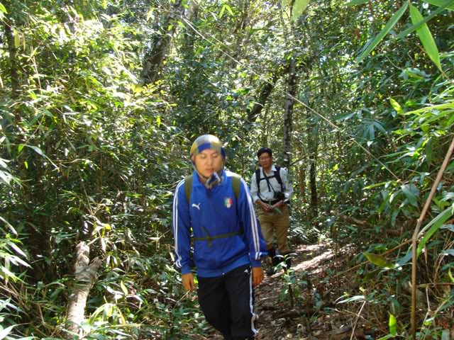 DSC00155.jpg