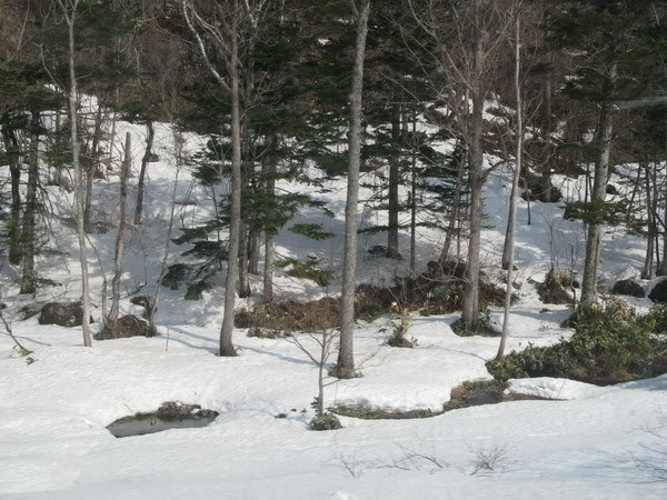 IMG_2961_resize.jpg