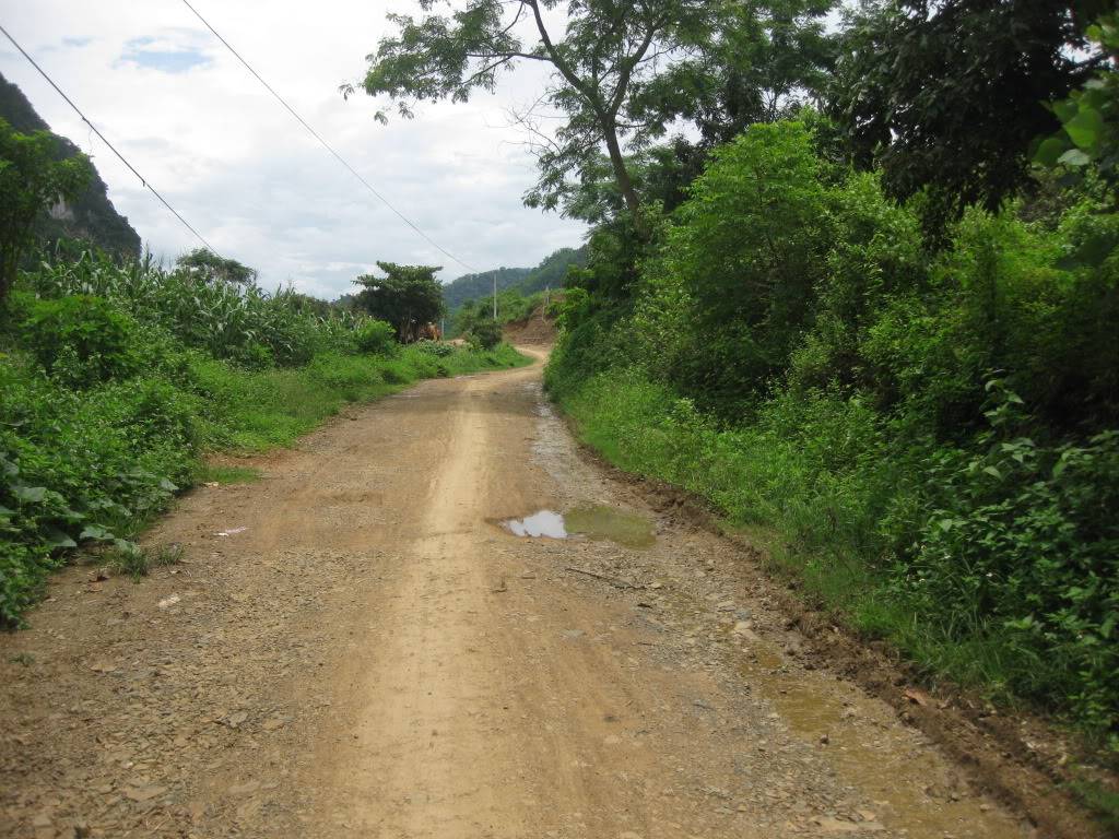 IMG_2401.jpg