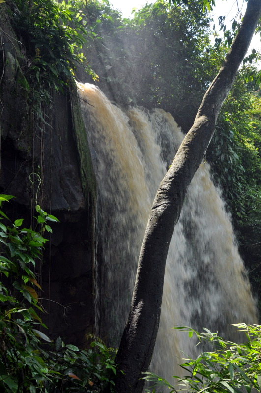 DSC_1456.jpg