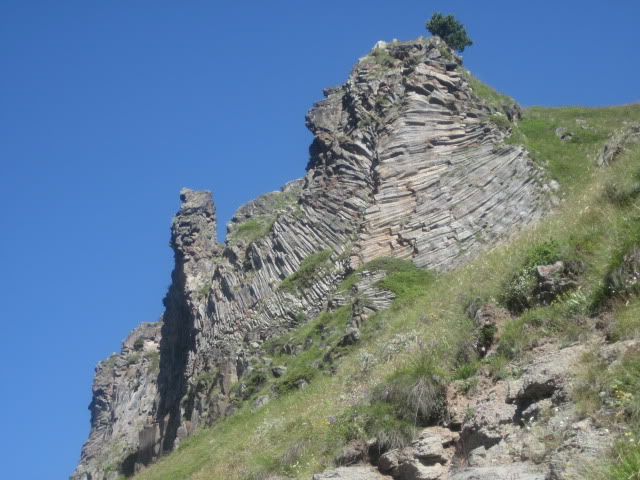IMG_1297.jpg