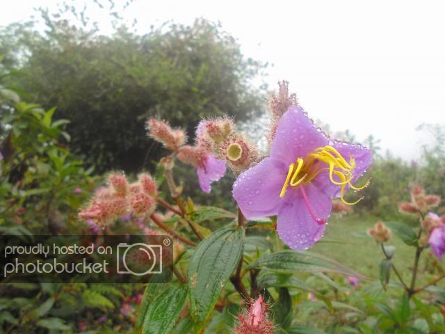 DSC01401_zps2106245d.jpg