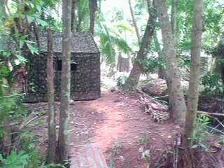IMG0024A.jpg