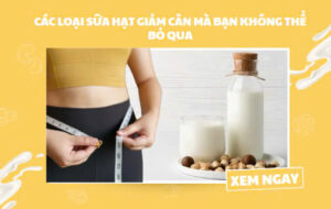 các loại sữa hạt giảm cân