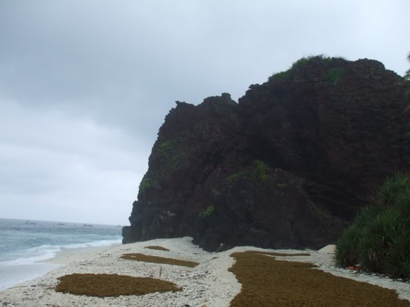 DSCF7003.jpg