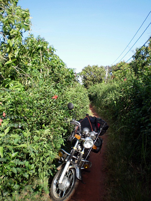 45_zpsd69a4a6c.jpg