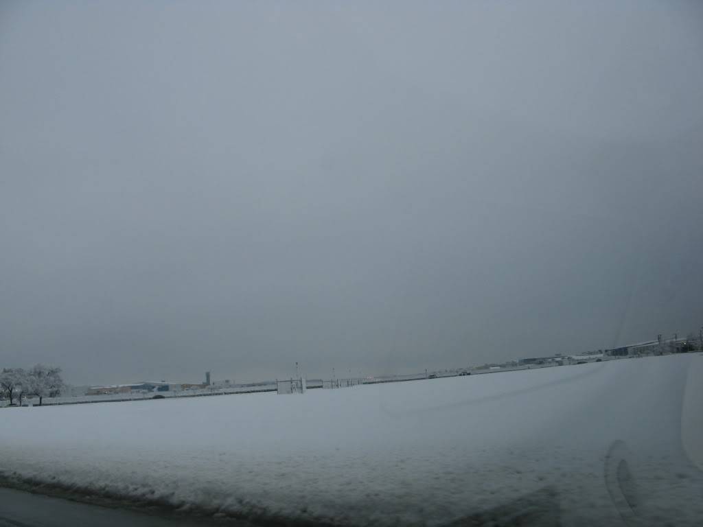 IMG_0081.jpg