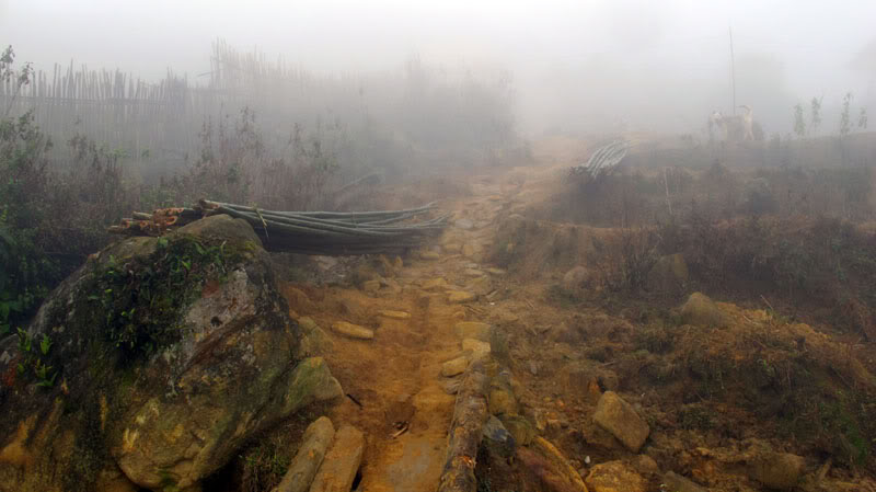 HongNgai2011377.jpg