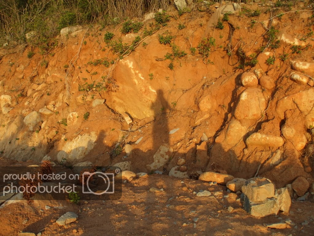 DSCF4585.jpg