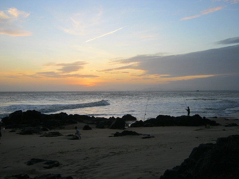 IMG_8794.jpg