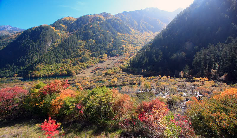 DPP_0172.jpg