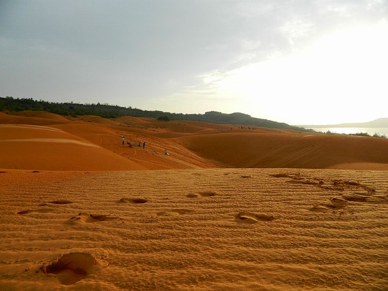 DSCN2070.jpg