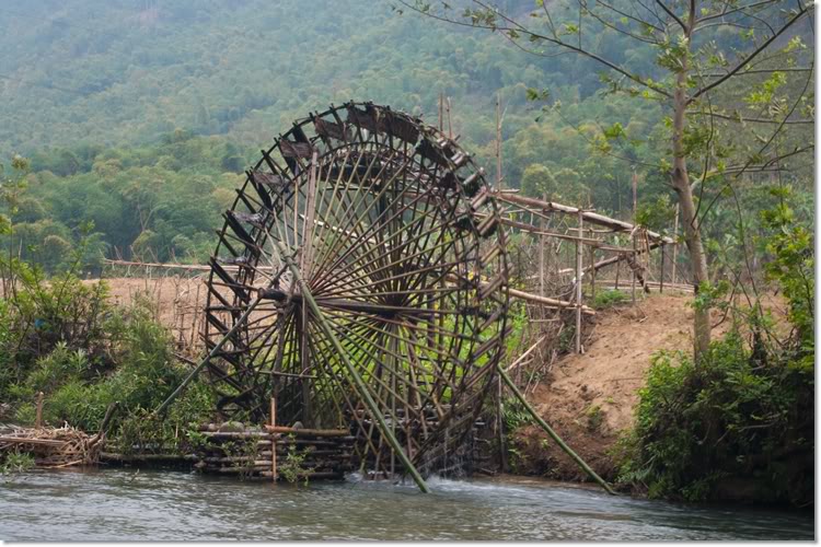 thanhhoa5of6.jpg