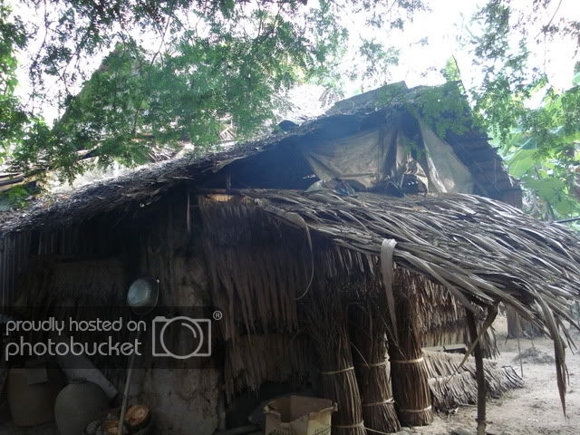 DSC00486-1.jpg