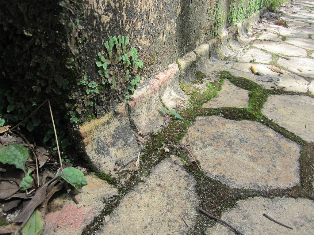 IMG_2824.jpg