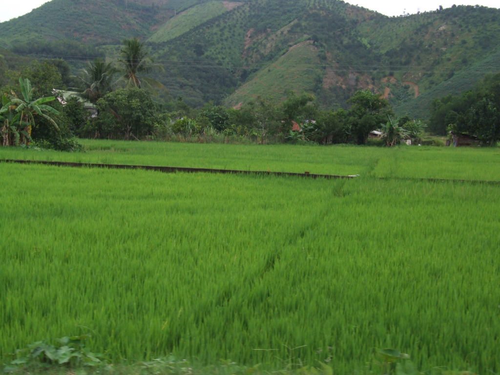 DSCF1546.jpg