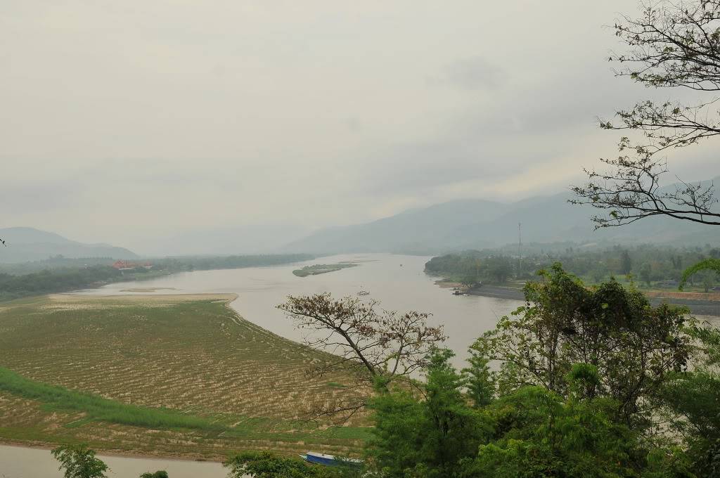DSC_1113.jpg