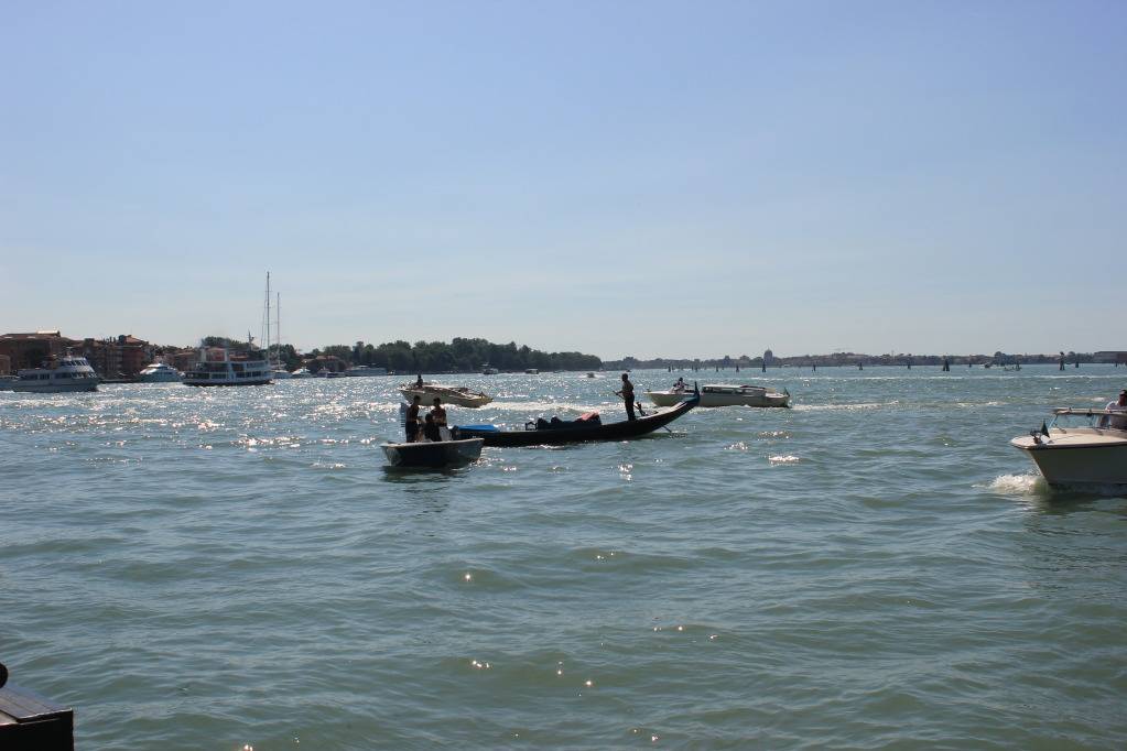 IMG_1603_zps4a9e2a3d.jpg