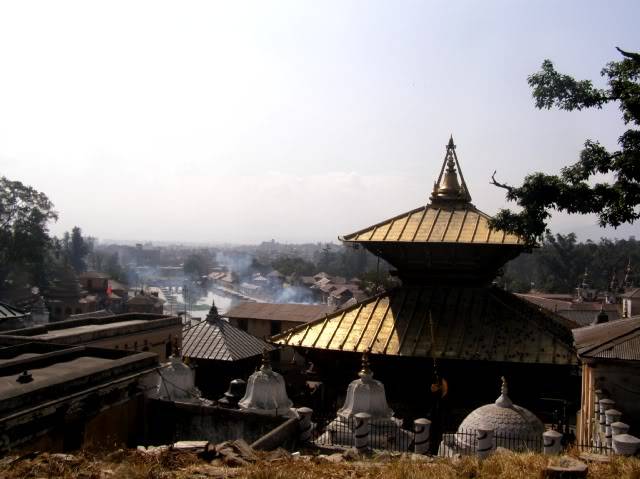PB050013.jpg