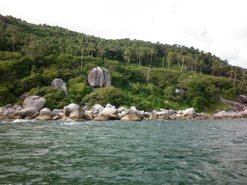 P1000970.jpg