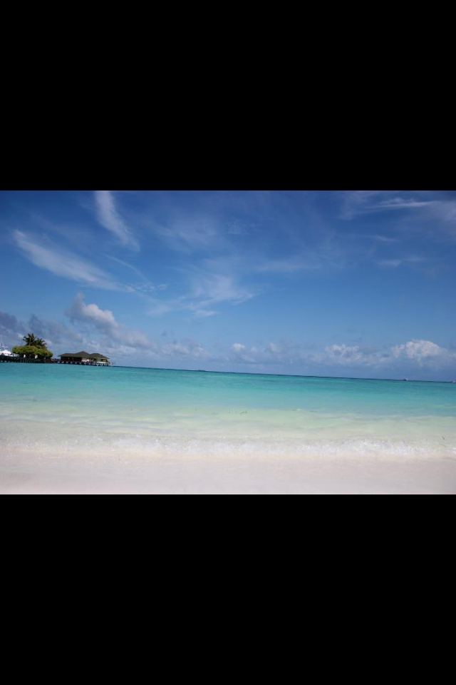 IMG_2957-1.png