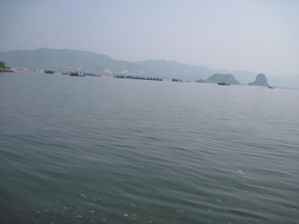 IMG_3860.jpg