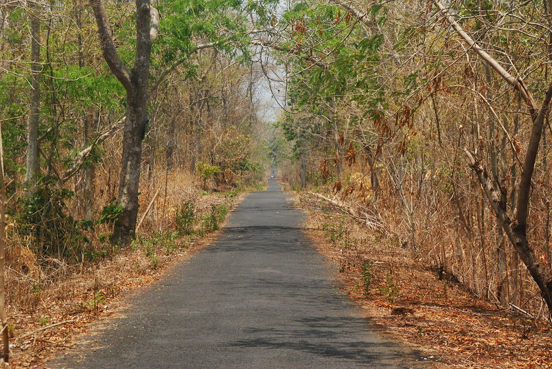 DSC_0442.JPG
