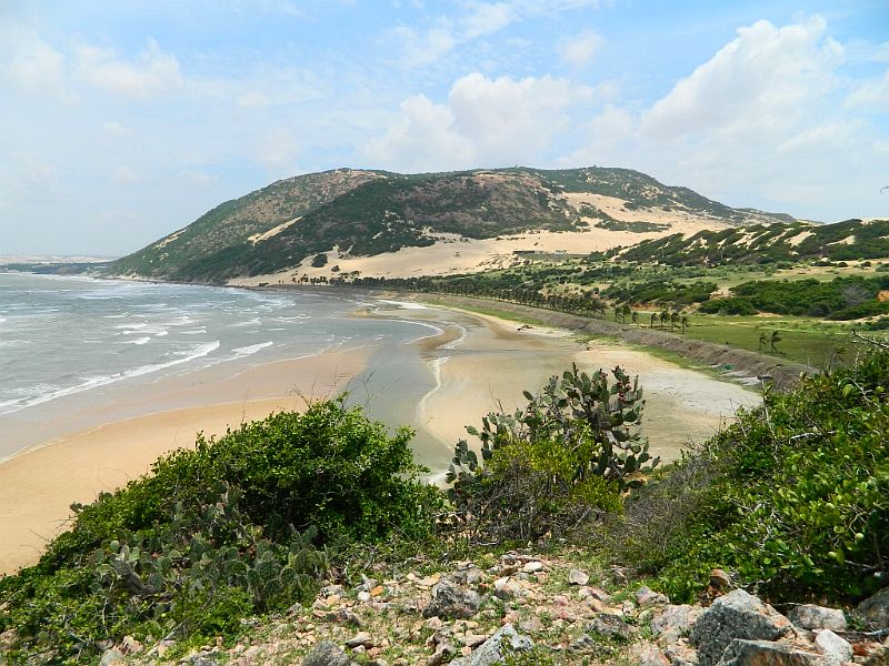 DSCN2219.jpg