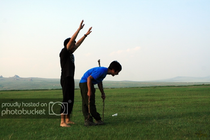 IMG_7900_zps63495b29.jpg
