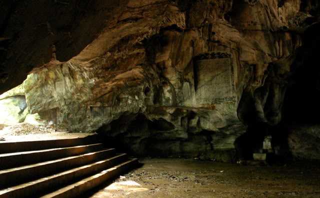 hangtra.jpg