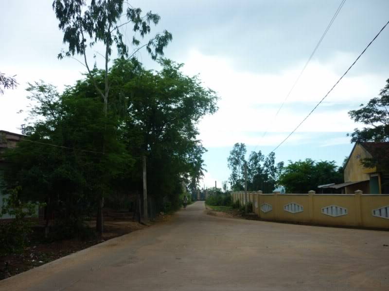 P1000341800x600.jpg