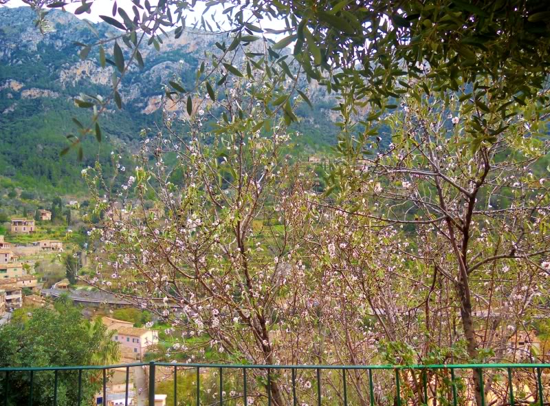 DSCN6209.jpg