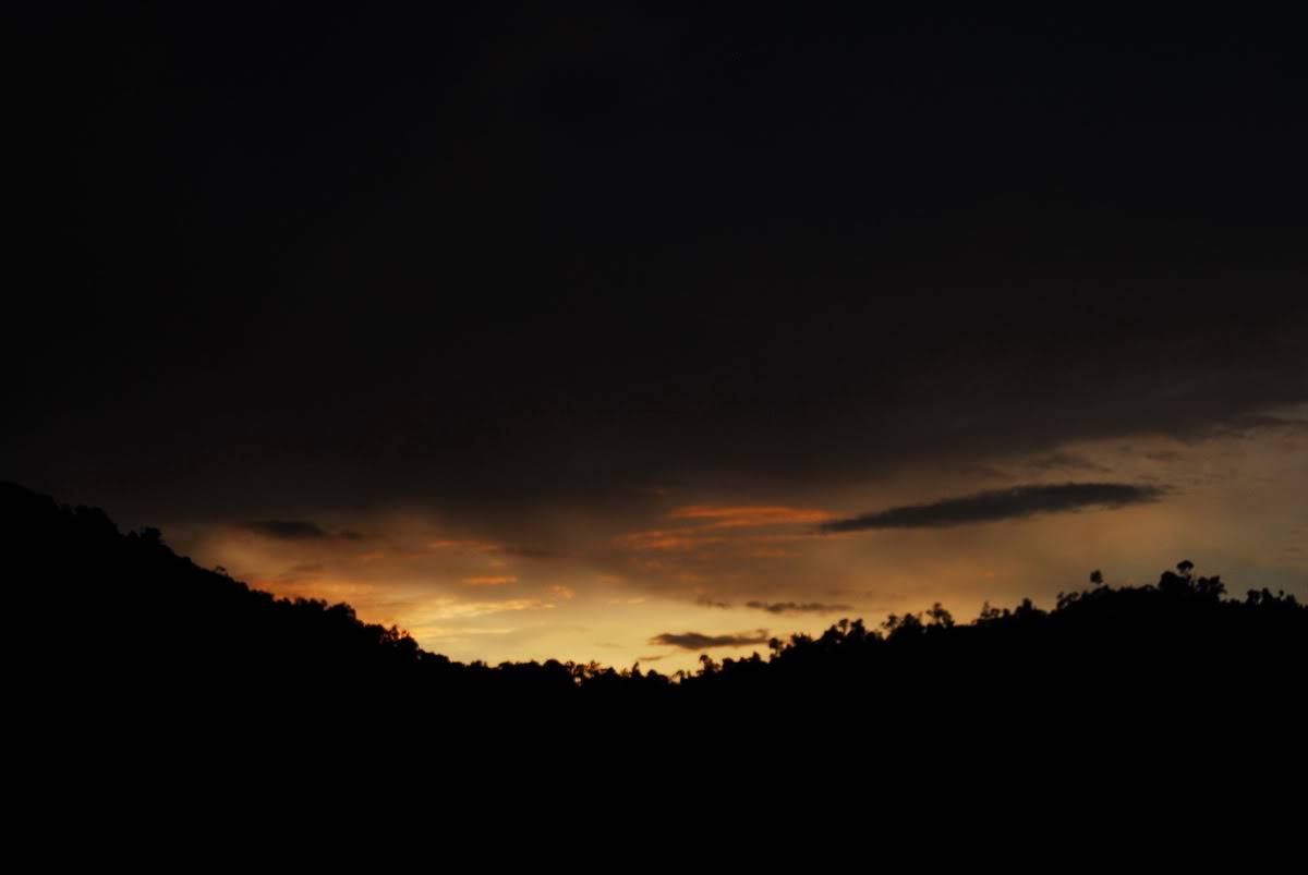 DSC_0283.jpg