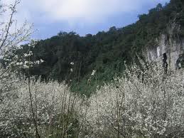 images1.jpg