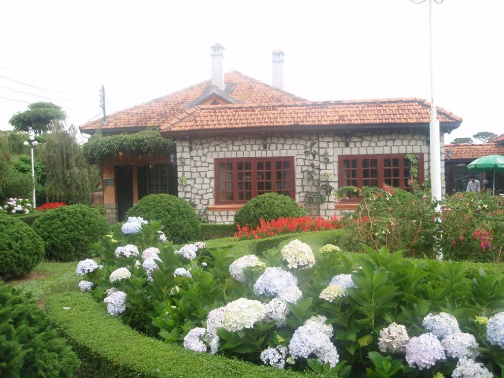 P1014390.jpg