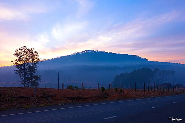 _MG_2383.jpg