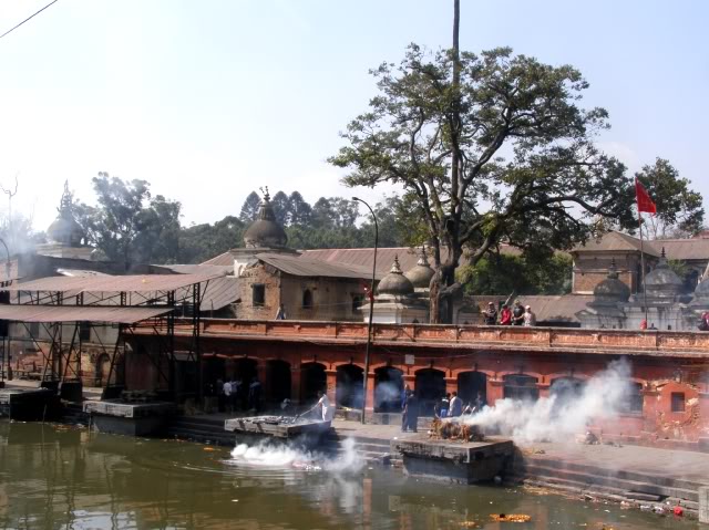 PB050019.jpg