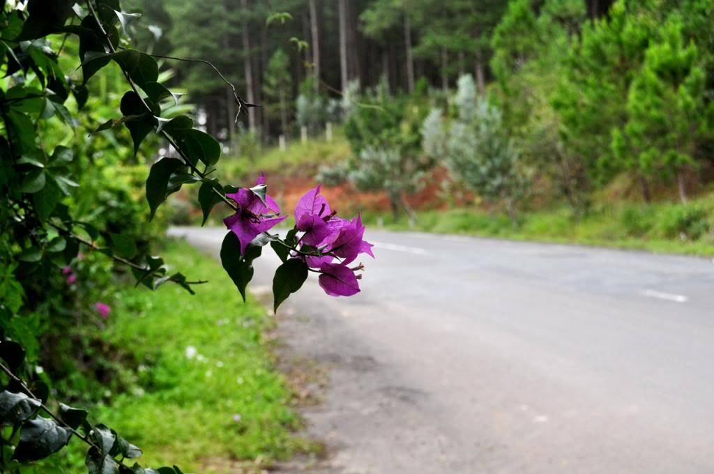 DSC_0066__zps747fd51a.jpg