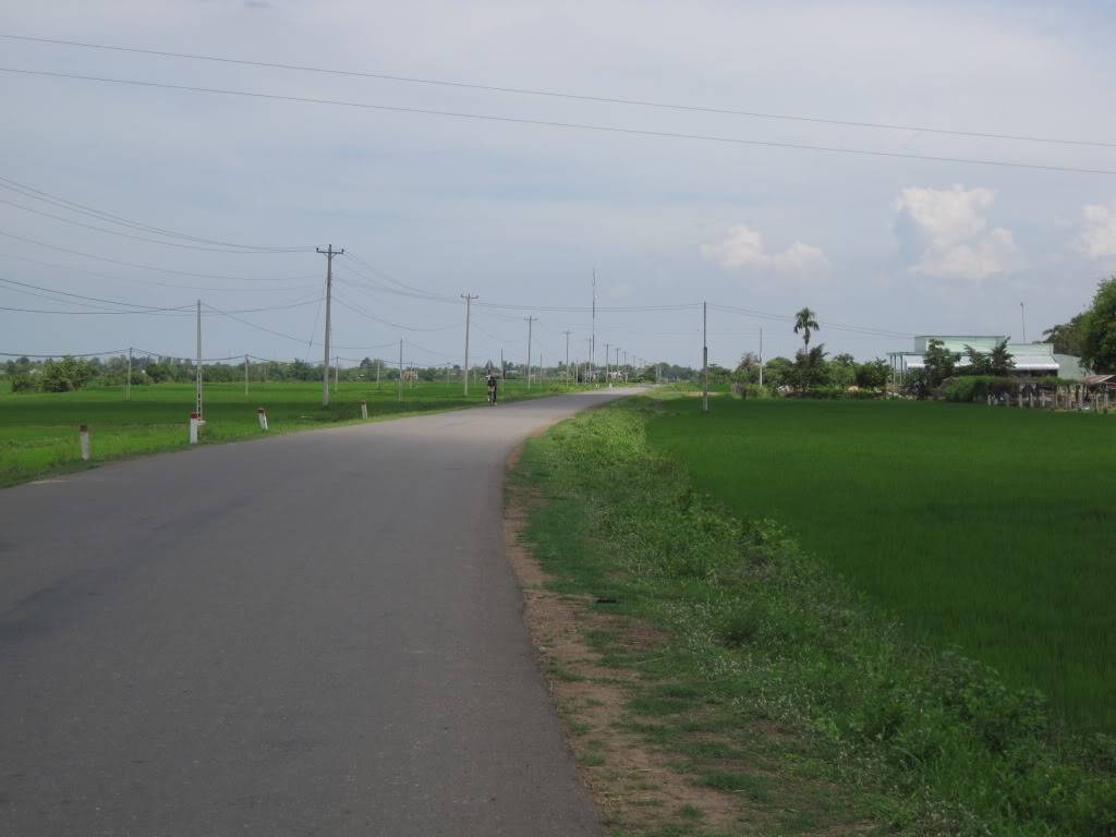 QL55QL28536.jpg