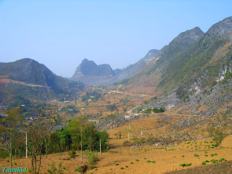 SDC16400.jpg