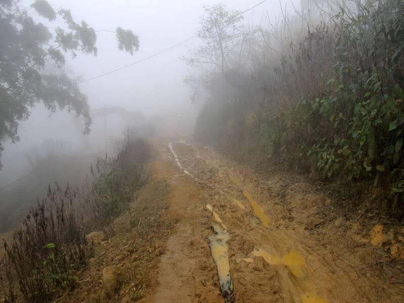 HongNgai2011468.jpg