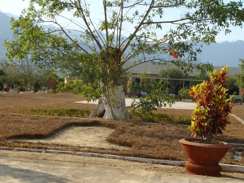 DSC07863.jpg