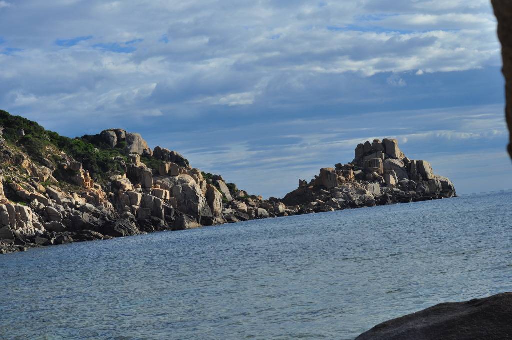 DSC_0461.jpg